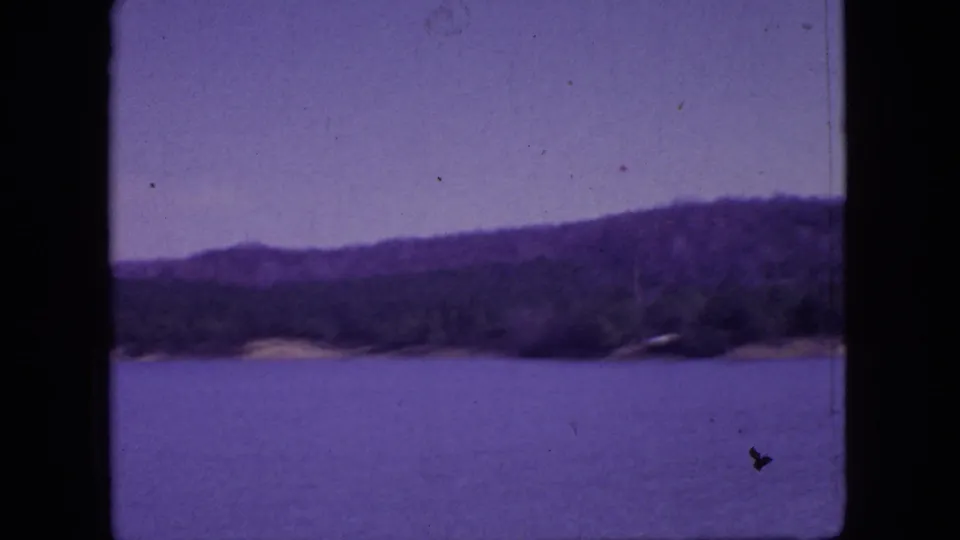 Purple-tinted 1966 New Jersey 8mm frame showing open lake water, a wooded shoreline, low hills, and visible film grain.