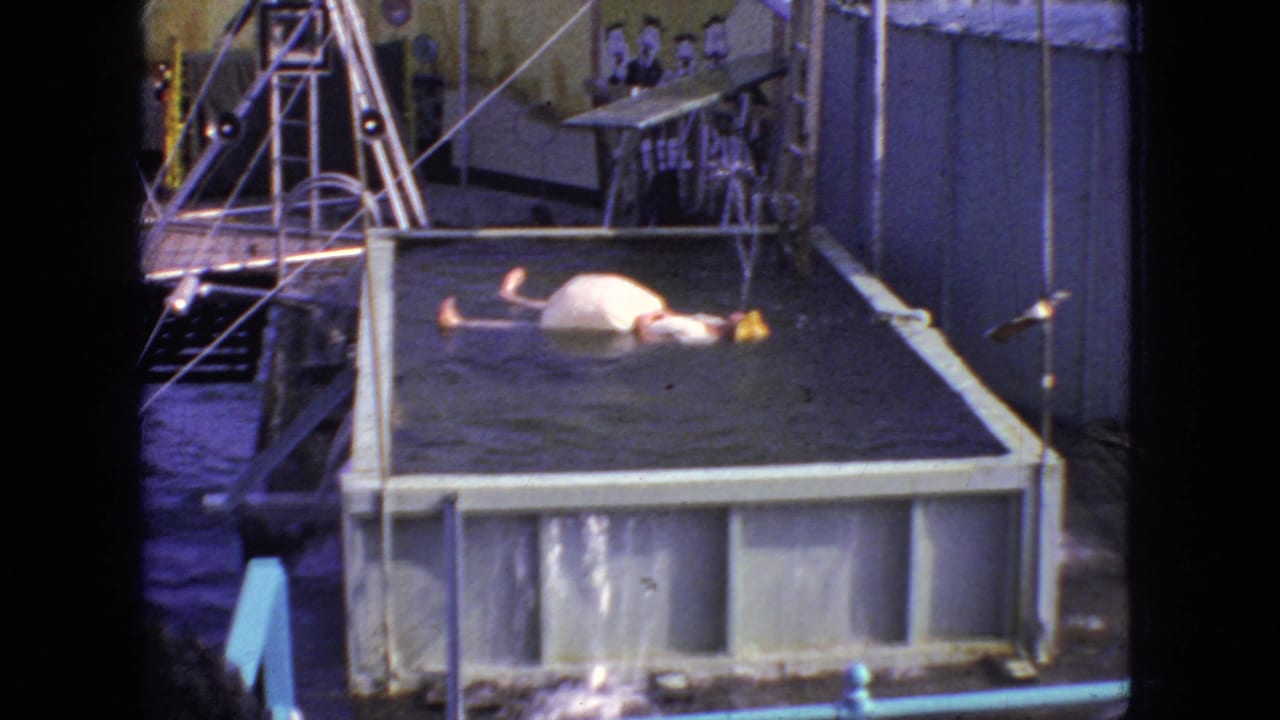 The performer is partly in the raised pool after falling backward from the platform, with the diving board, backdrop, metal supports, and spectators still visible in the home-movie frame.
