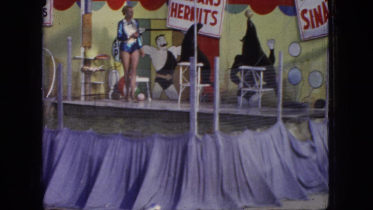 A Steel Pier aquatic performance frame shows the woman performer at center stage, with a dark seal shape near the pool and colorful band-name signage behind the act.