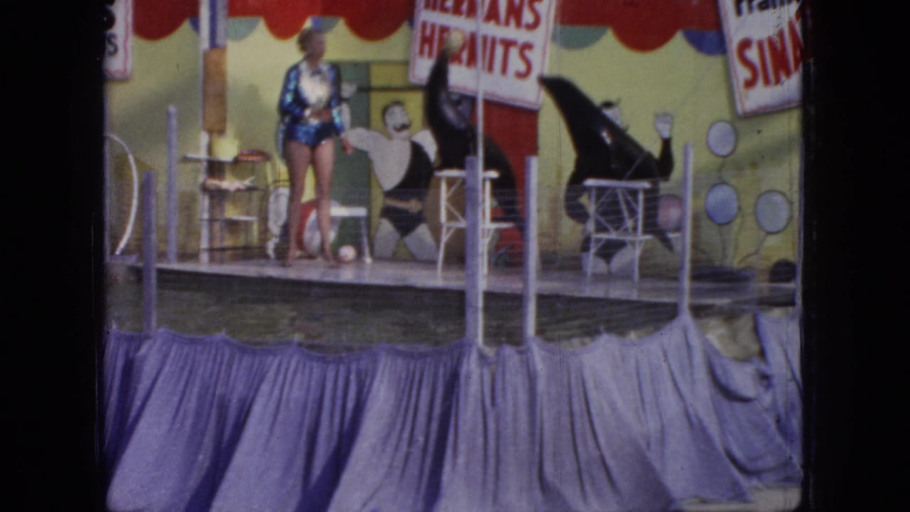 1966 New Jersey 8mm frame showing a female performer on a small seaside pier stage, with a purple curtain, painted backdrop, and partially visible entertainment signage.