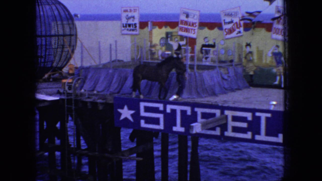 Horse and handlers on a pier stage with show signs and ocean visible below.