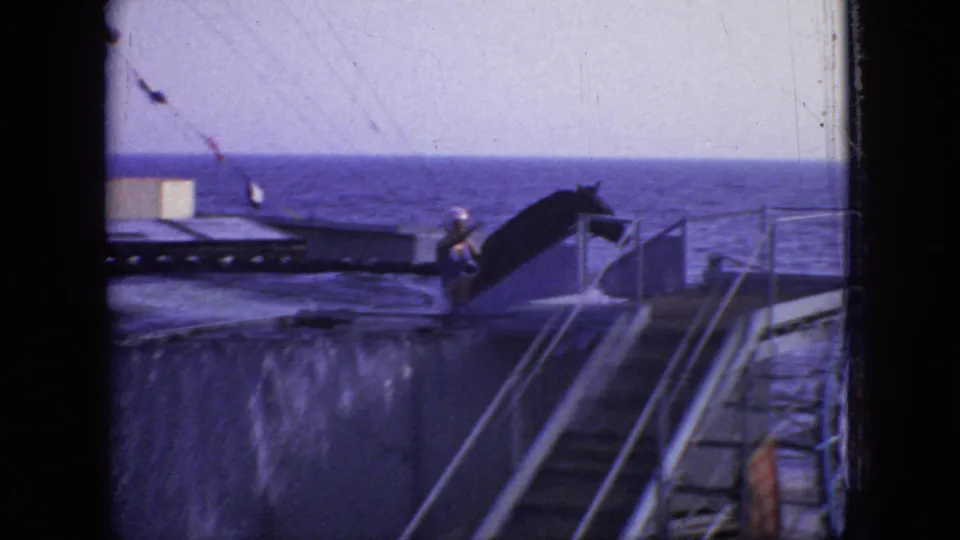 The horse and rider reach the lower water area beside railings and stairs, with the ocean horizon and faded Super 8 color visible in the background.