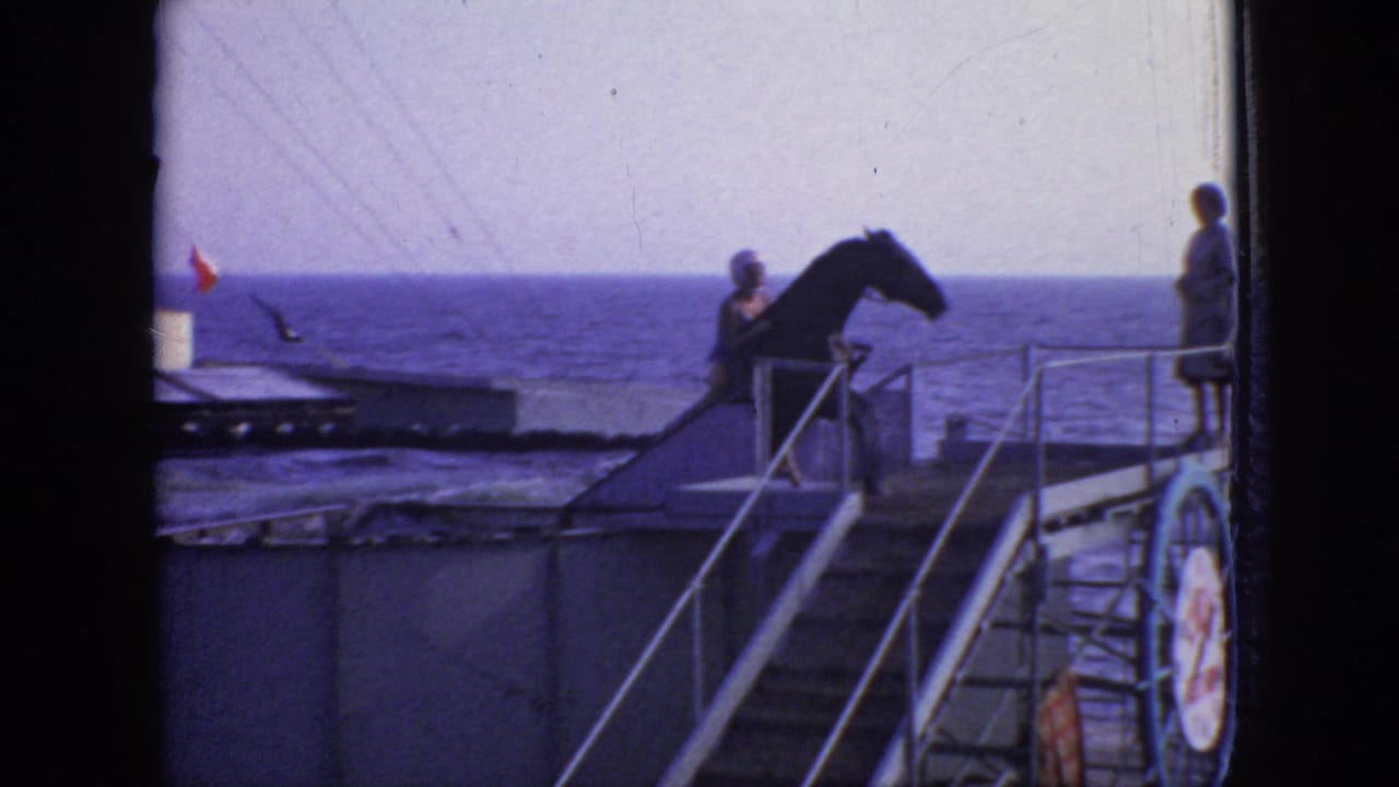 In 1966 New Jersey home-movie footage, a dark horse stands near a metal ramp on a ship or waterfront deck while people watch against an ocean horizon.