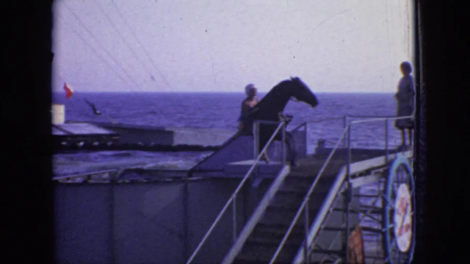In 1966 New Jersey home-movie footage, a dark horse stands near a metal ramp on a ship or waterfront deck while people watch against an ocean horizon.