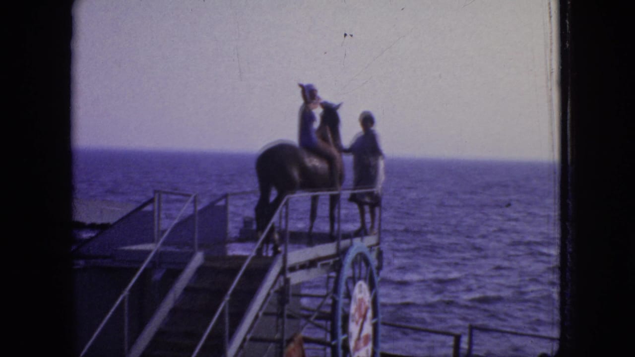 A swimsuit-clad rider sits on a dark horse near a metal ramp while a man assists, with open ocean behind the shipboard deck area.