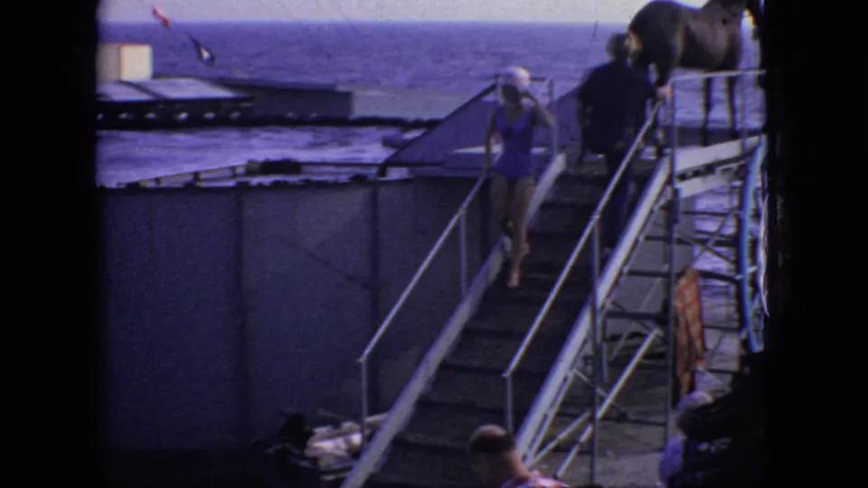 A woman in a blue swimsuit descends the metal ramp or stairs from the deck area, with the horse partly visible above and the waterfront structure behind her.