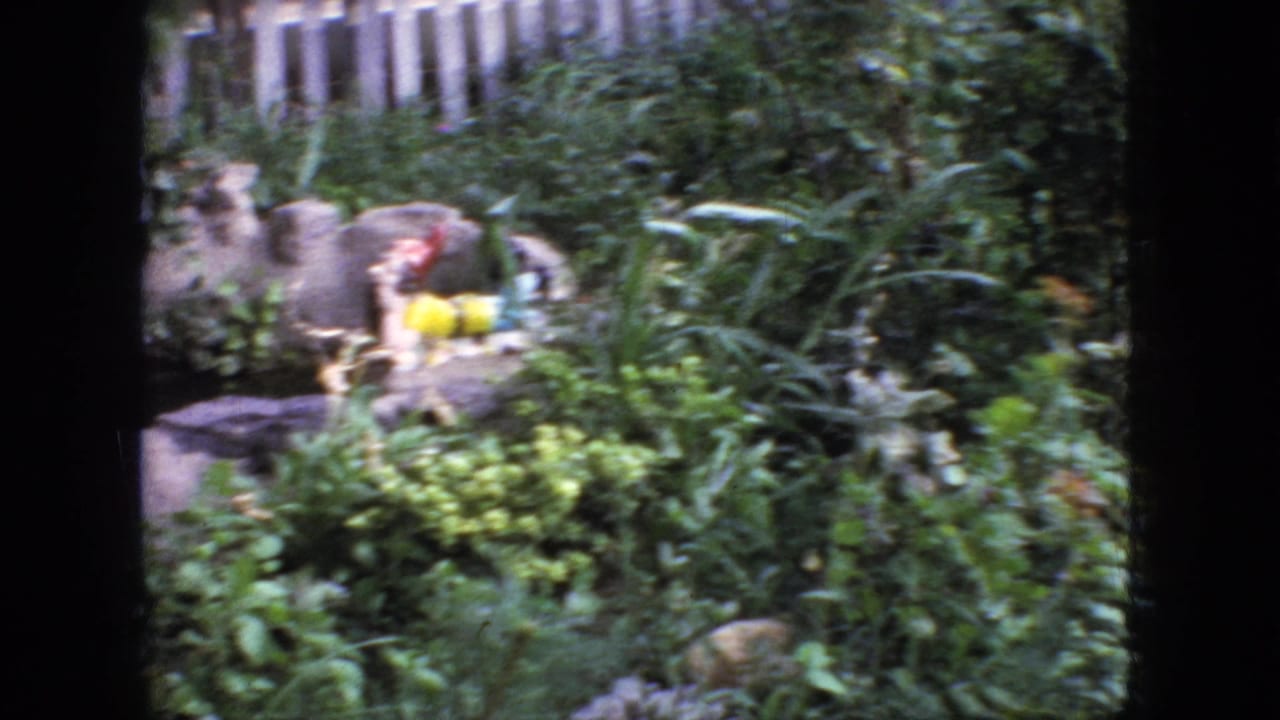 1966 New Jersey home-movie frame showing a small garden gnome with a red hat and yellow shirt among plants, rocks, and a pale fence.
