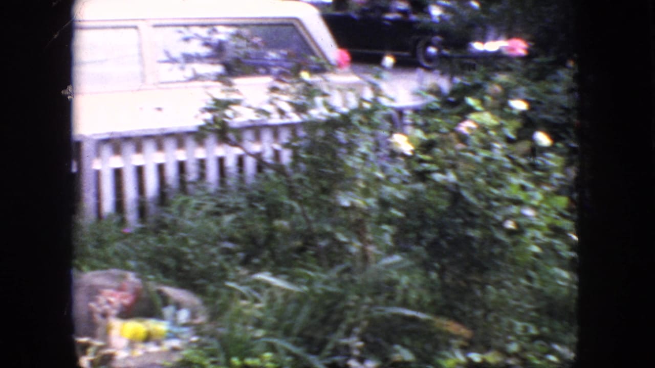 1966 New Jersey residential view with a white station wagon parked beyond a picket fence, partly obscured by garden foliage and yellow flowers.
