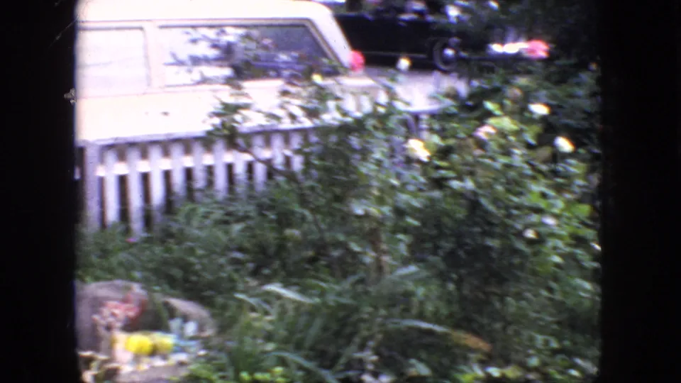 1966 New Jersey residential view with a white station wagon parked beyond a picket fence, partly obscured by garden foliage and yellow flowers.