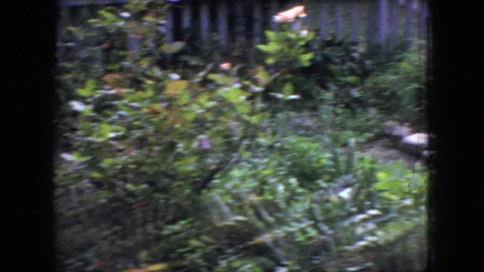 Handheld 8mm frame from the New Jersey garden pan, with motion-blurred shrubs, trees, and patches of greenery filling the view.