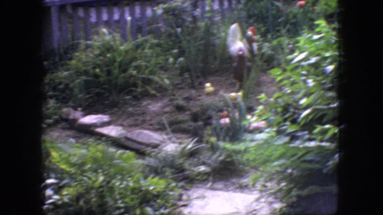 1966 New Jersey backyard garden view with a narrow path, leafy plantings, rocks, and small yellow garden ornaments visible near the center.