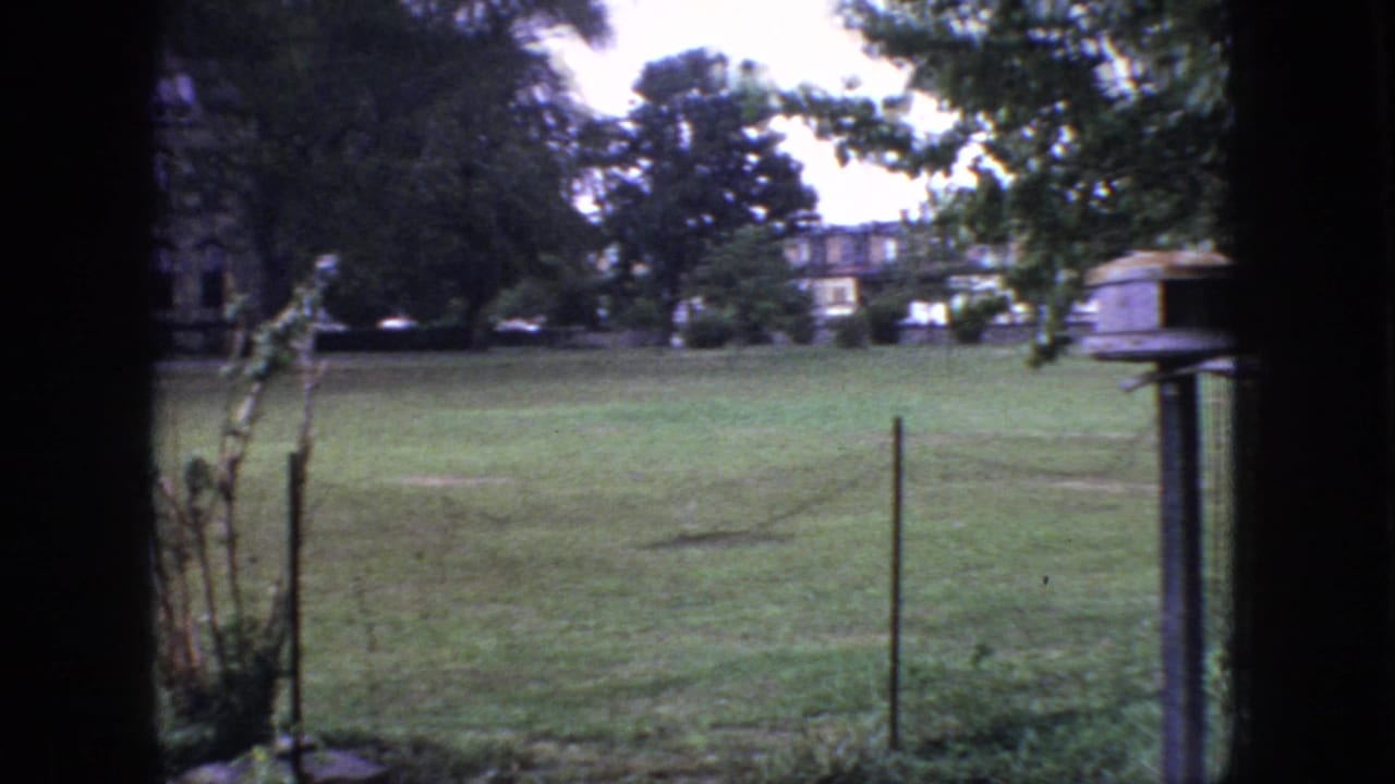 End frame of the 1966 New Jersey home-movie pan showing a backyard lawn, wire fence posts, trees, and distant residential buildings beyond the yard.