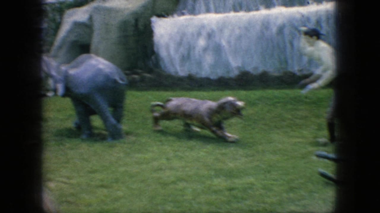 In 1966 New Jersey home-movie footage, a gray elephant statue and a tiger figure appear on grass in front of white artificial rockwork at the Lost River attraction.