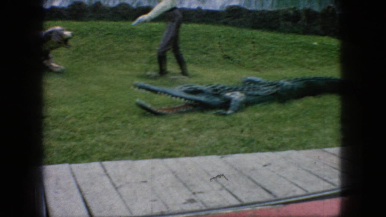 An alligator figure lies on the grass beside a walkway, with another animal figure and a person or display element partially visible in the background of the Lost River attraction footage.