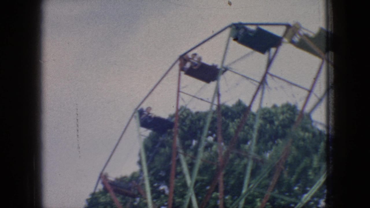 Soft 8mm frame of the Ferris wheel angled above a leafy tree line, with several suspended seats visible against the pale sky.