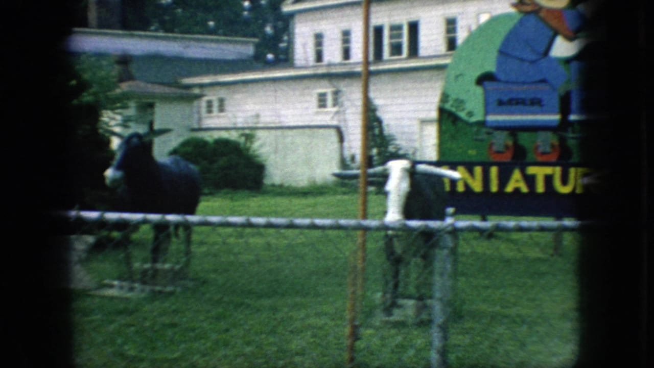1966 New Jersey 8mm frame showing longhorn cattle statues in front of a partly visible miniature railway sign, with a lawn and white house behind it.