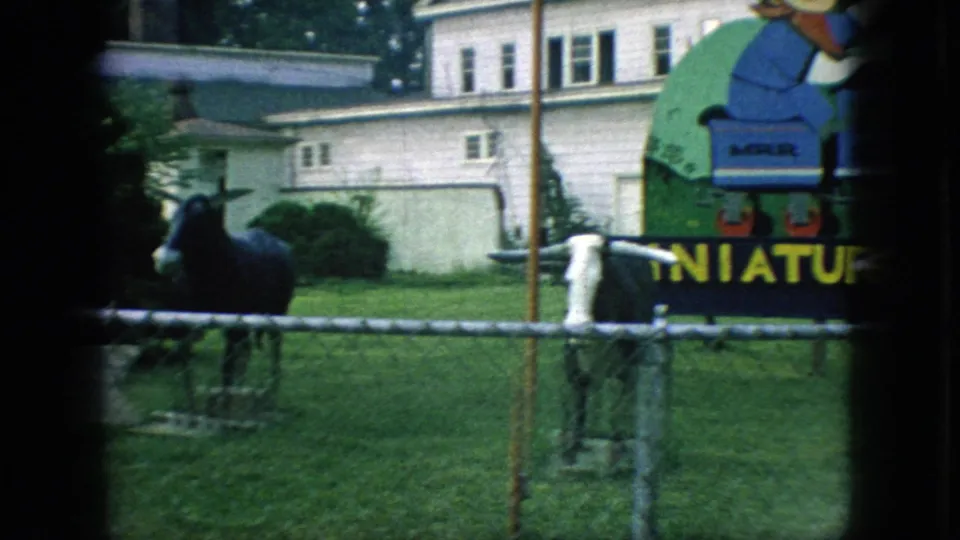 1966 New Jersey 8mm frame showing longhorn cattle statues in front of a partly visible miniature railway sign, with a lawn and white house behind it.