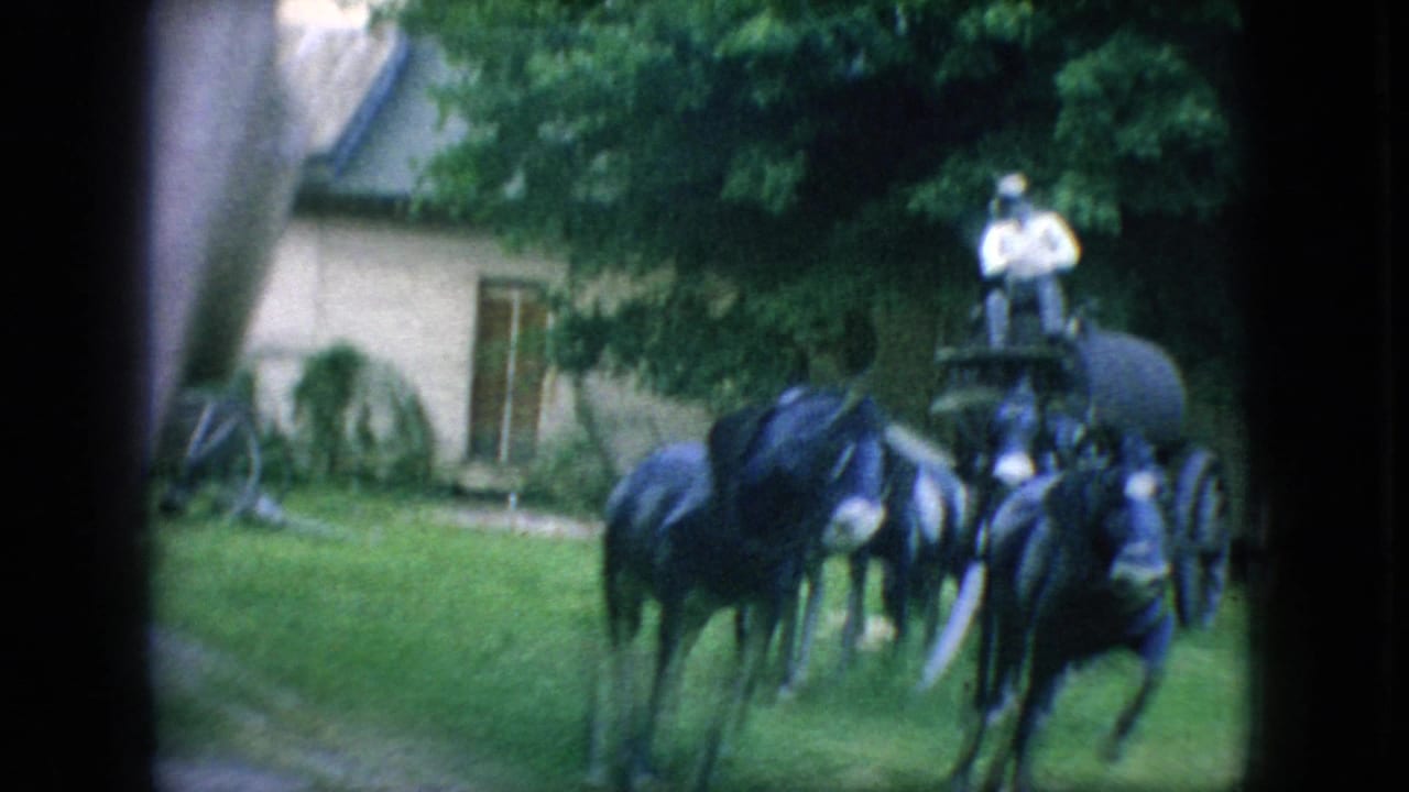 1966 New Jersey 8mm frame showing several dark mules drawing a large cart through a grassy area beside trees and an older building exterior.