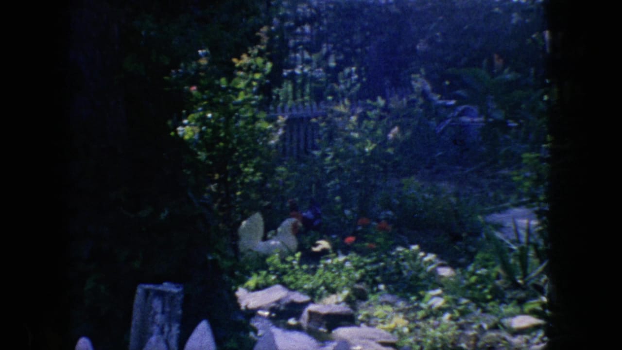 1966 New Jersey 8mm frame of a shaded garden with leafy plants, flowers, stones, and a small decorative bird or rooster figure among the foliage.
