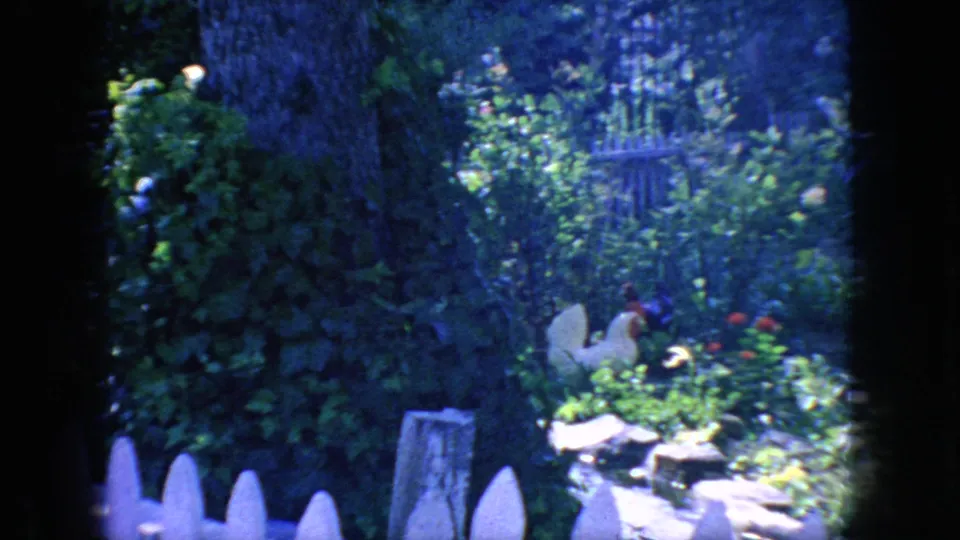 1966 New Jersey 8mm frame showing a leafy garden bed with flowers, white picket fence sections, stones, and a decorative bird or rooster figure.
