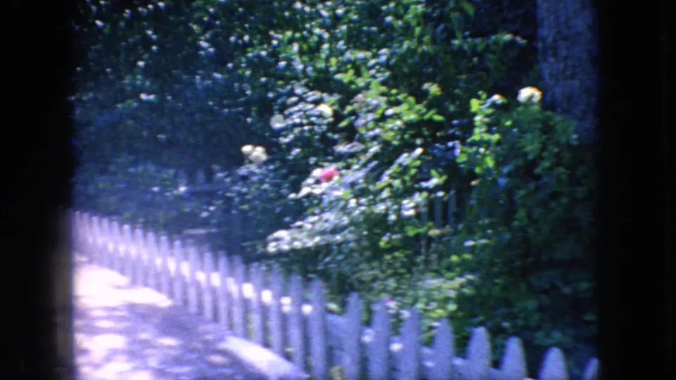 1966 New Jersey 8mm frame of a sunlit garden path with a white picket fence, dense greenery, flowers, and deep blue-green film shadows.