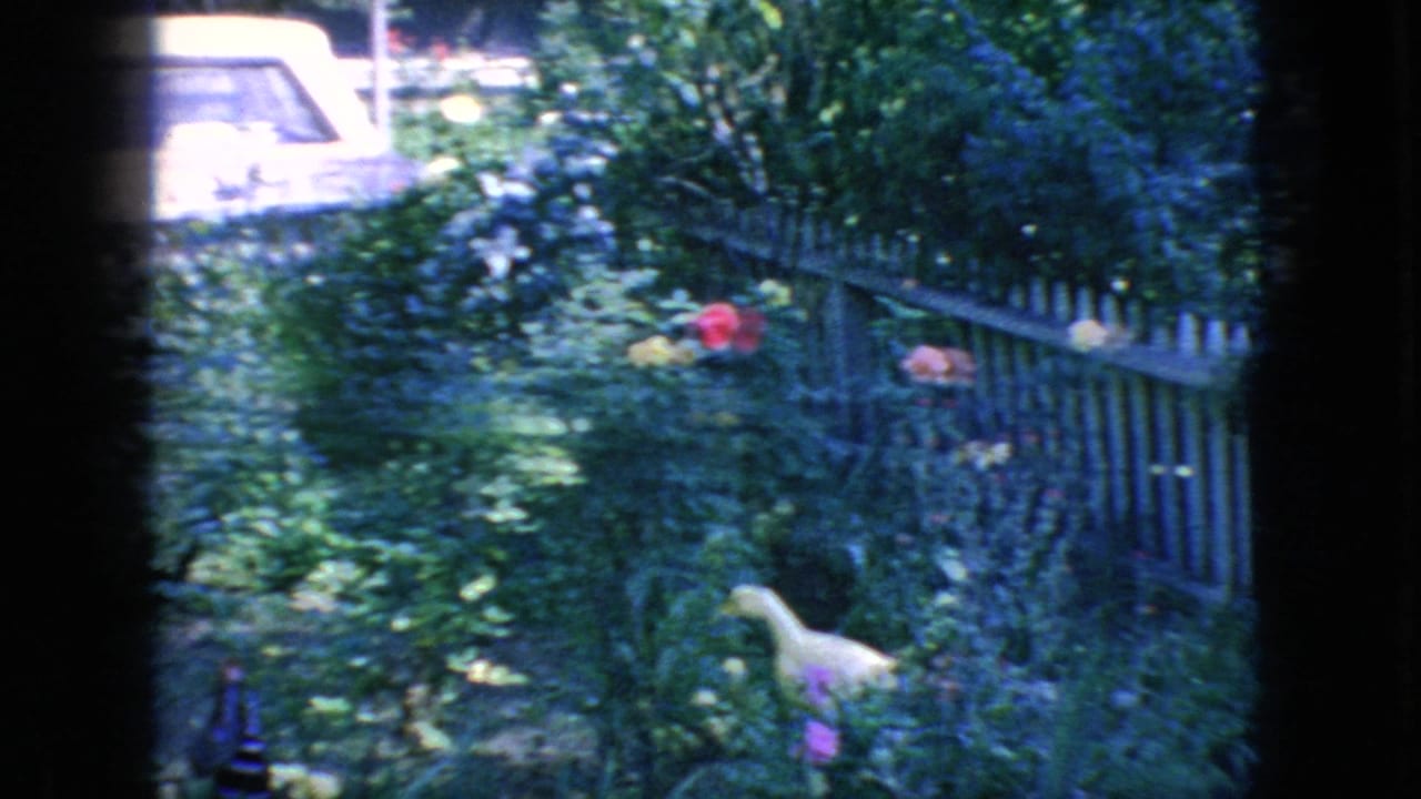 1966 New Jersey home-movie frame showing a sunlit backyard garden with a white picket fence, flowering plants, dense greenery, and a parked car in the background.