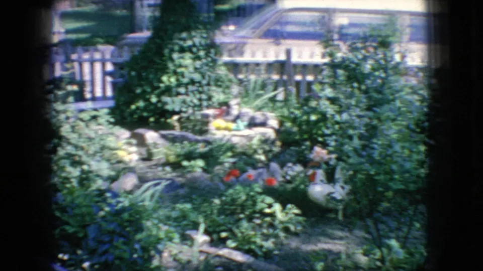 1966 New Jersey backyard garden view with layered shrubs, flowers, rocks, a small decorative fountain or ornament, a picket fence, and parked cars beyond the yard.
