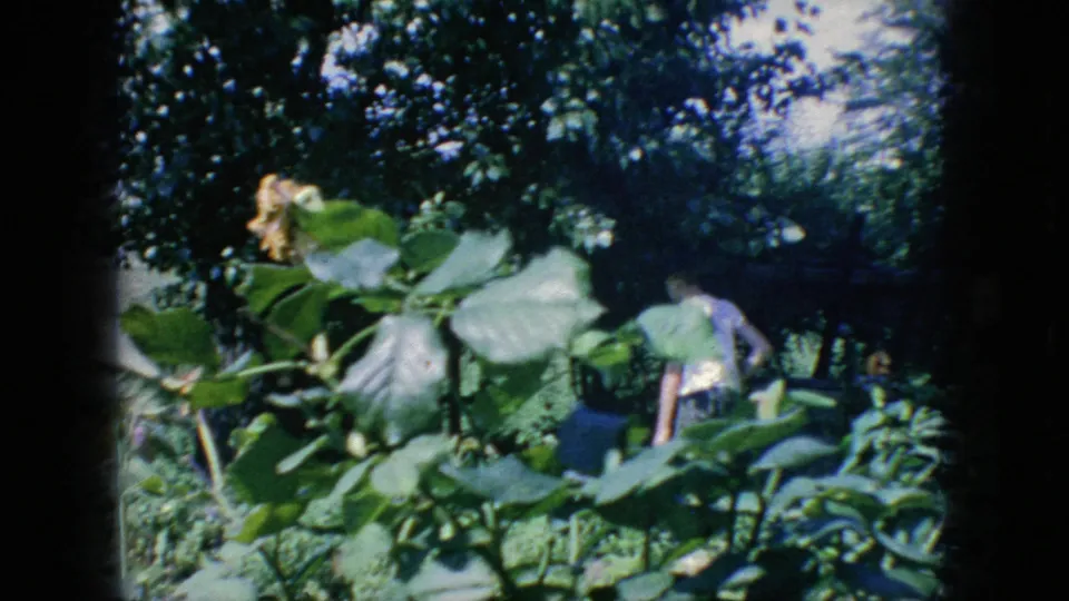 1966 New Jersey home-movie frame with broad leaves in the foreground, shaded garden plants, and a partially visible person bending or working among the foliage.