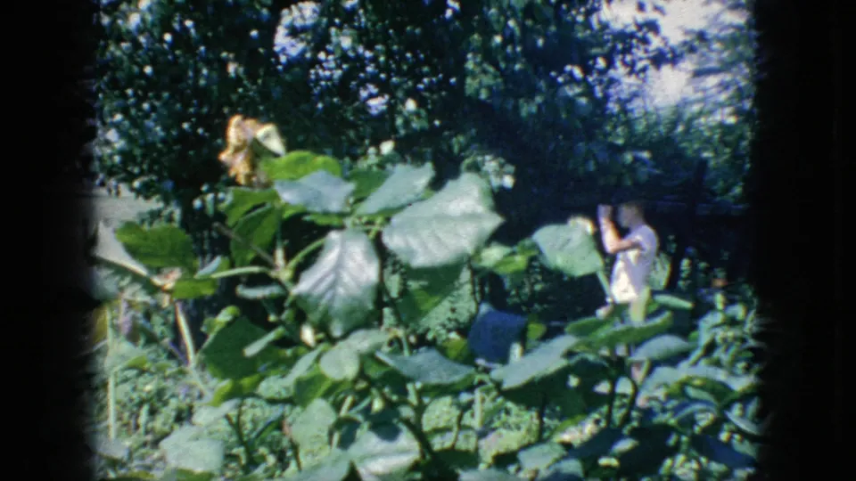 1966 New Jersey garden frame showing large foreground leaves, dense backyard planting, and a person partly visible at the right edge of the frame.