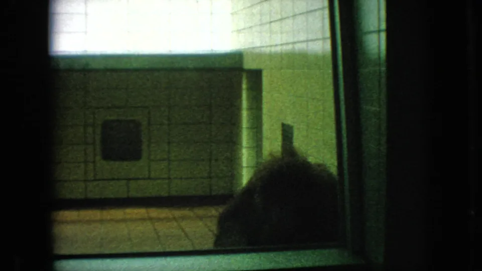 1966 New Jersey home-movie frame showing a dark primate in a tiled animal enclosure, viewed through a glass barrier with greenish interior light.