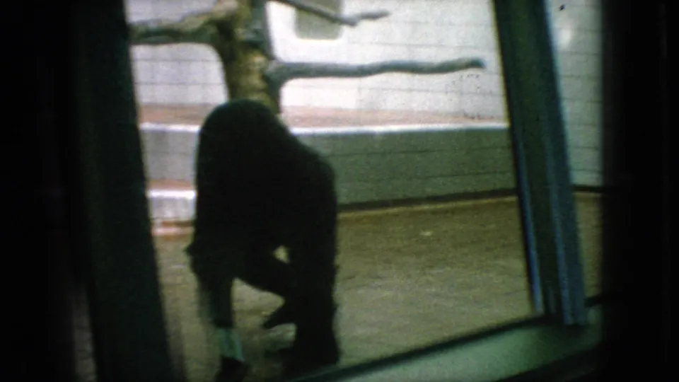 A chimpanzee appears as a dark silhouette near a glass viewing barrier inside a tiled zoo enclosure, consistent with the supplied 1966 New Jersey home-movie metadata.