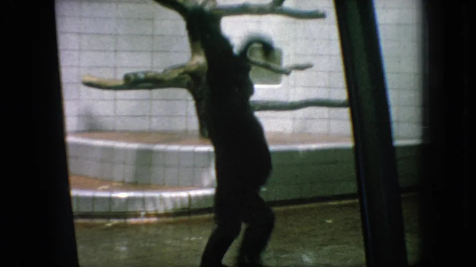 A silhouetted chimpanzee reaches upward toward a branch or climbing structure inside the tiled zoo habitat, with the scene viewed through glass.
