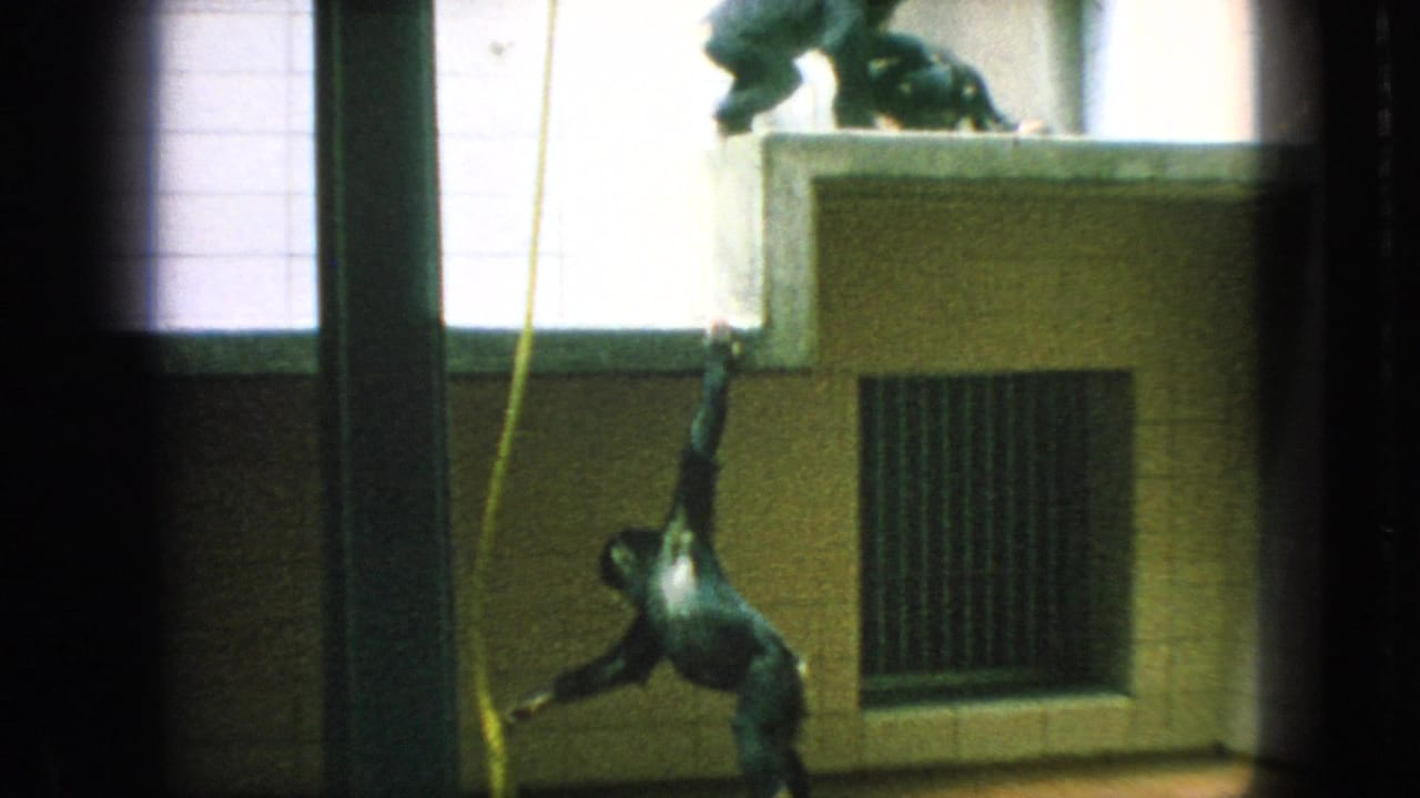 1966 New Jersey zoo footage frame with a gibbon-like primate suspended from a yellow rope inside a tiled enclosure, with other primates visible on a raised ledge.