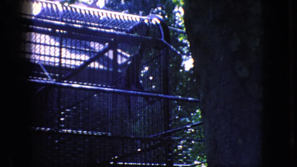 The final frame shows a metal mesh cage or enclosure structure beside trees and foliage, reinforcing the zoo captivity context of the New Jersey home movie.