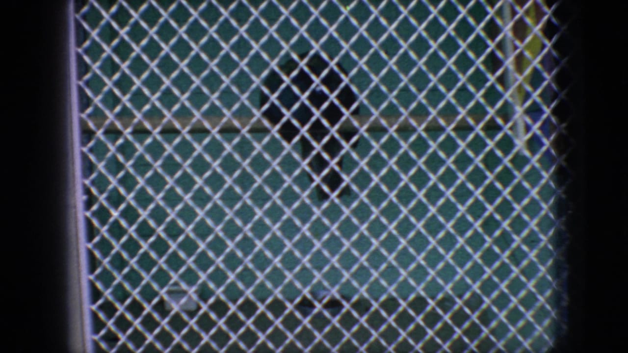 1966 New Jersey 8mm frame showing a zoo or aquarium enclosure viewed through diamond-pattern chain-link fencing, with a dark seal shape partly visible in the water.