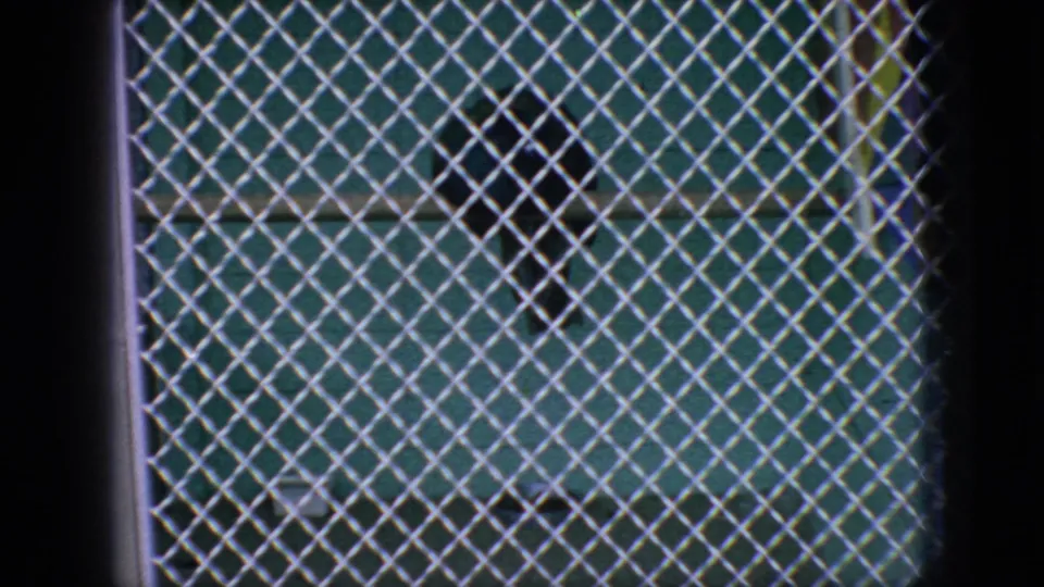 1966 New Jersey 8mm frame showing a zoo or aquarium enclosure viewed through diamond-pattern chain-link fencing, with a dark seal shape partly visible in the water.