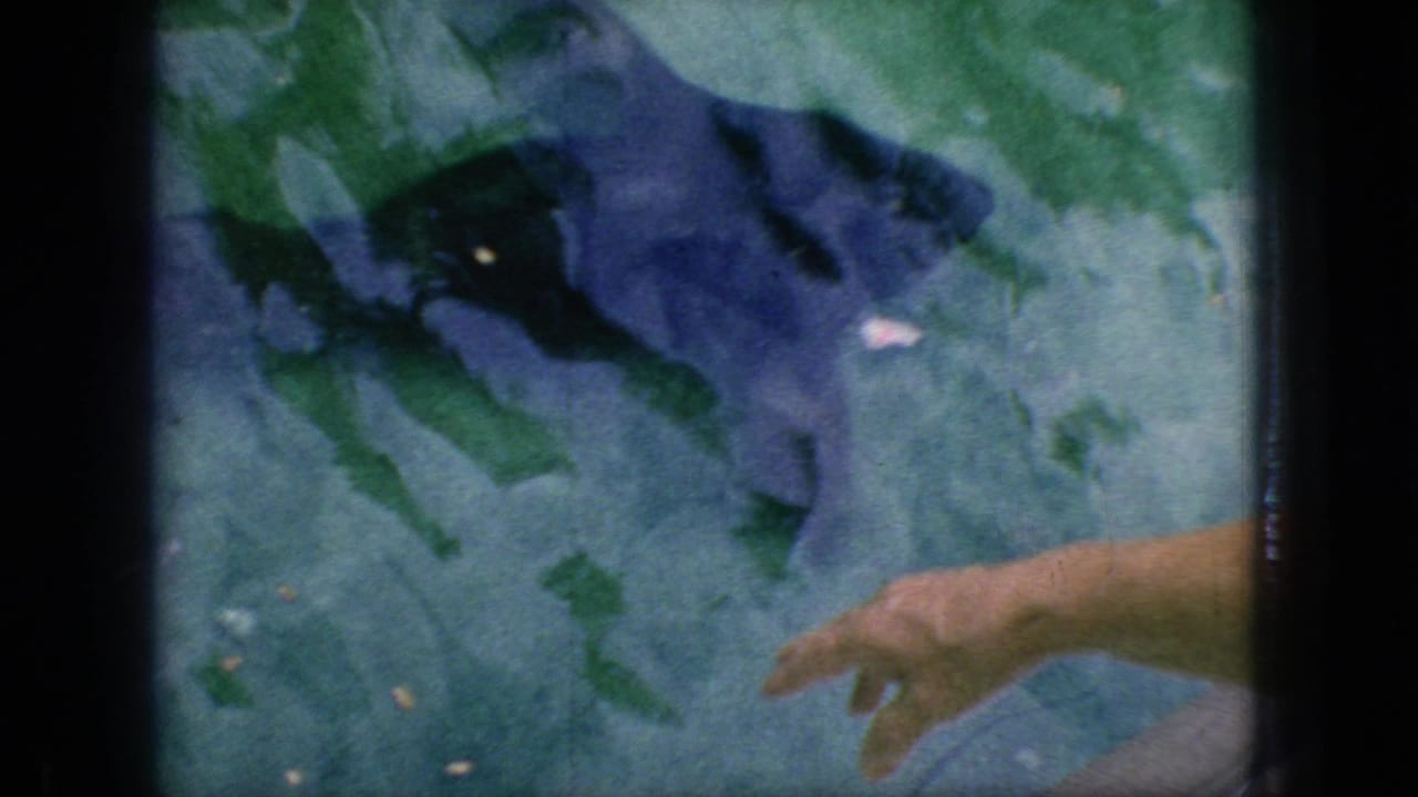 1966 New Jersey 8mm frame showing a soft underwater zoo exhibit view, with a large aquatic animal shape and a visitor's hand reaching toward the viewing area.