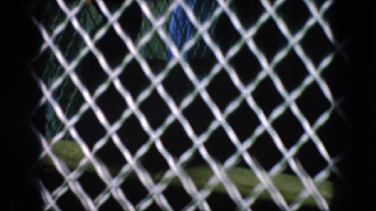 1966 New Jersey 8mm frame showing a chain-link zoo barrier with dark leafy vegetation behind it, filmed from a close visitor position.