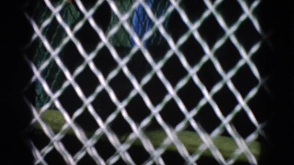 1966 New Jersey 8mm frame showing a chain-link zoo barrier with dark leafy vegetation behind it, filmed from a close visitor position.