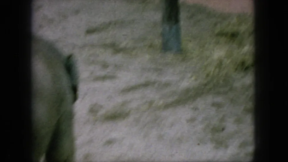 Partial view of an elephant passing close to the handheld camera, with sandy enclosure ground and soft 8mm motion blur.
