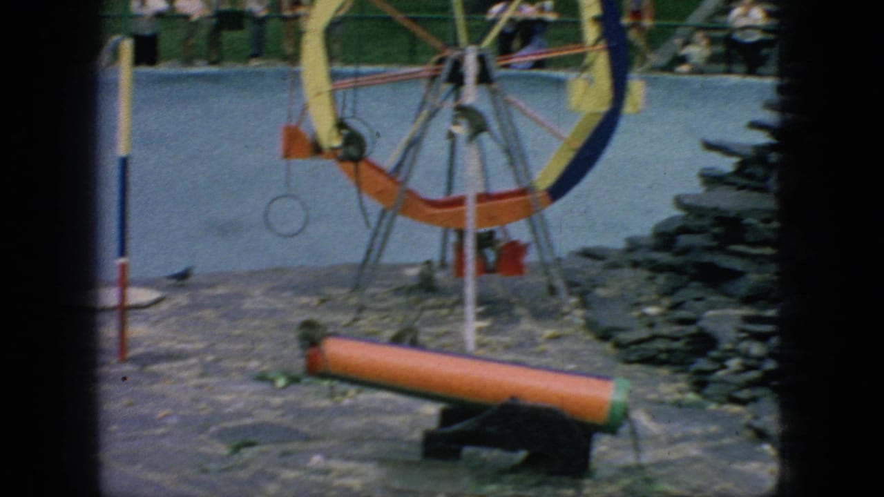 Monkey moving beside the orange cylinder under a colorful wheel structure in a zoo enclosure.