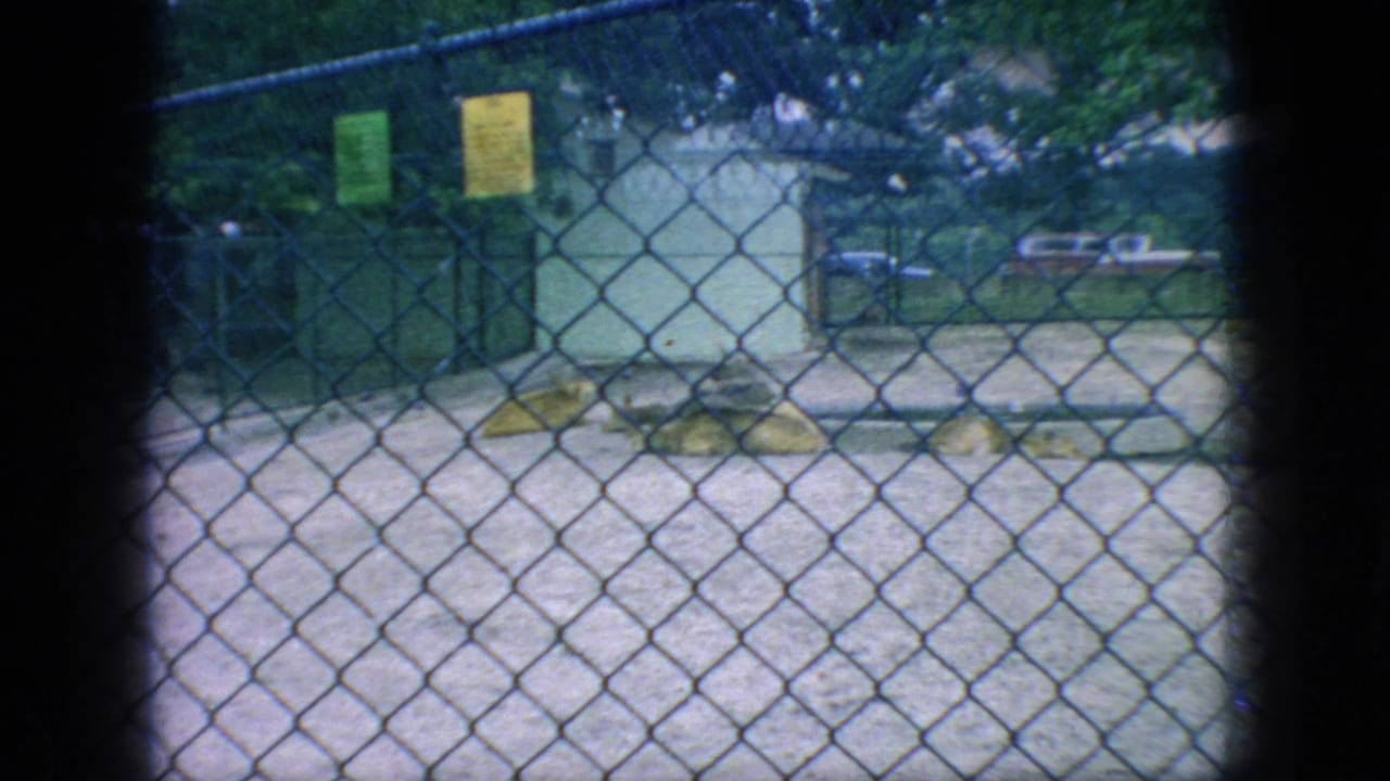 Empty fenced zoo enclosure with posted signs and a paved or sandy surface.