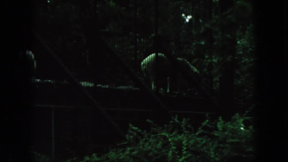 Dark, grainy 1966 New Jersey 8mm frame looking through zoo enclosure fencing toward a partially visible flamingo among dense greenery.