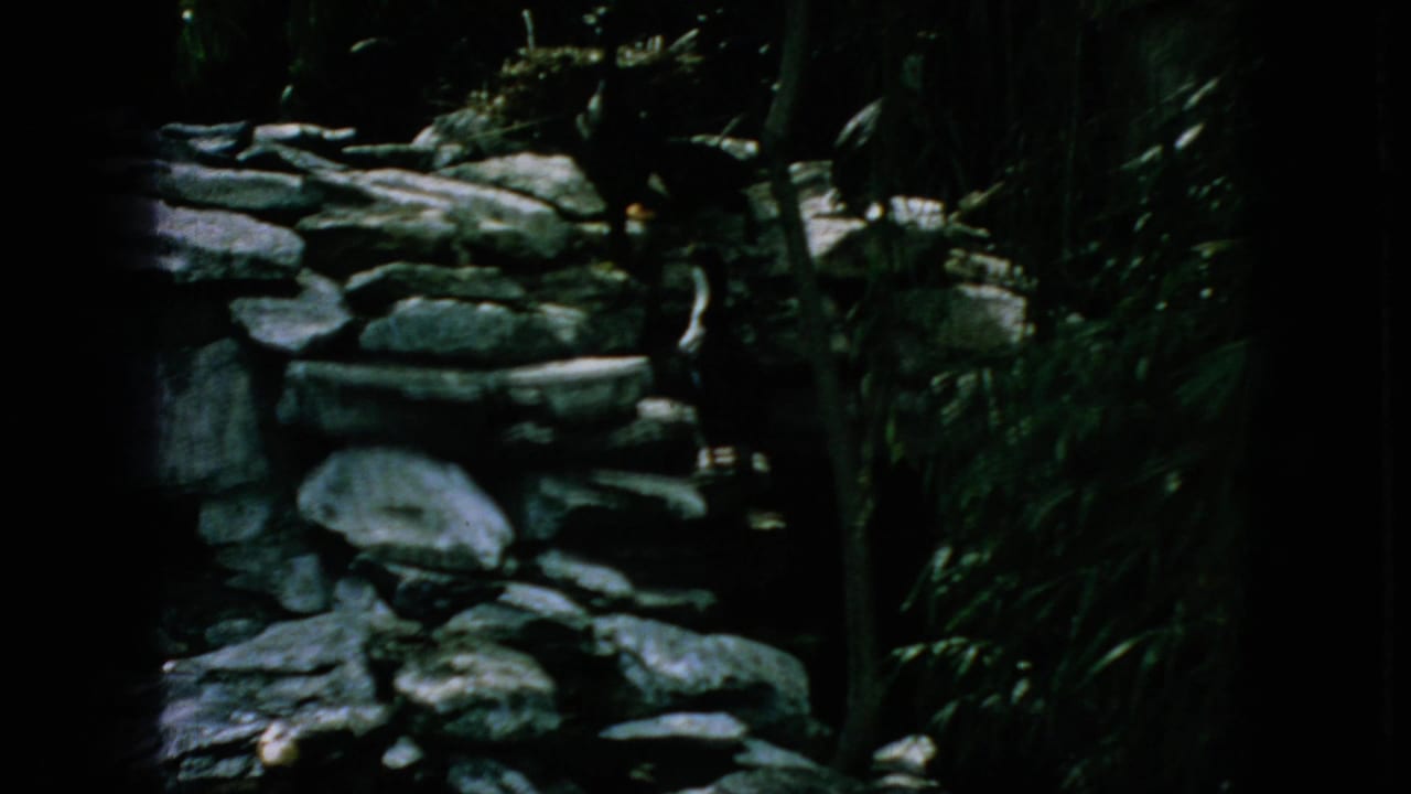 1966 New Jersey 8mm frame showing a shaded stone-edged pond or enclosure area with dense greenery and dark exposure at the frame edges.
