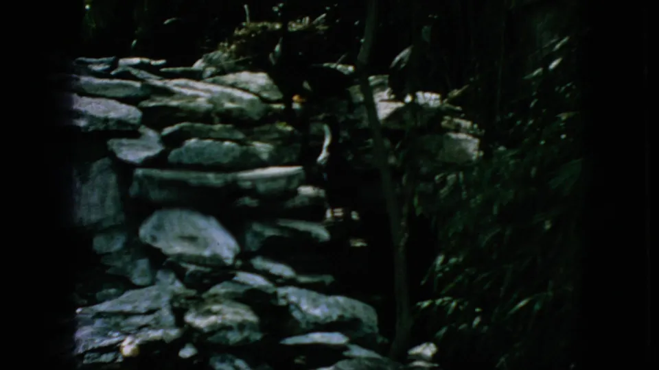 1966 New Jersey 8mm frame showing a shaded stone-edged pond or enclosure area with dense greenery and dark exposure at the frame edges.