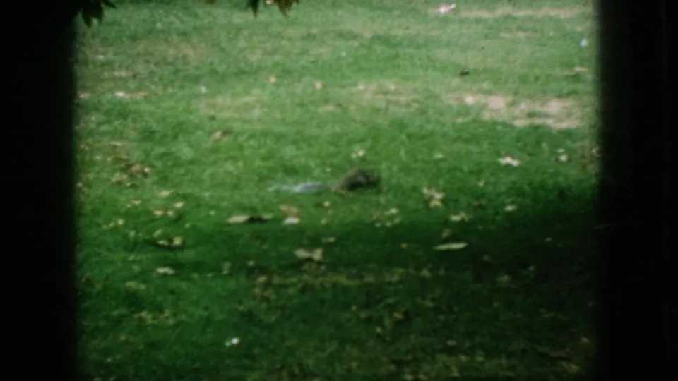 1966 New Jersey 8mm frame showing an open grassy park lawn with scattered leaves and dark vertical film or framing edges.
