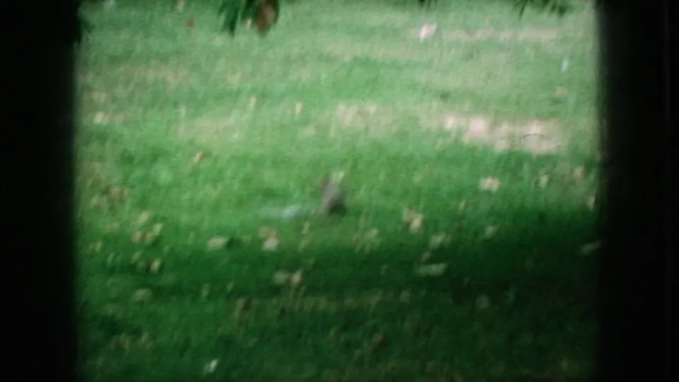 1966 New Jersey 8mm frame with a small squirrel-like animal blurred by motion as it crosses a grassy park lawn.