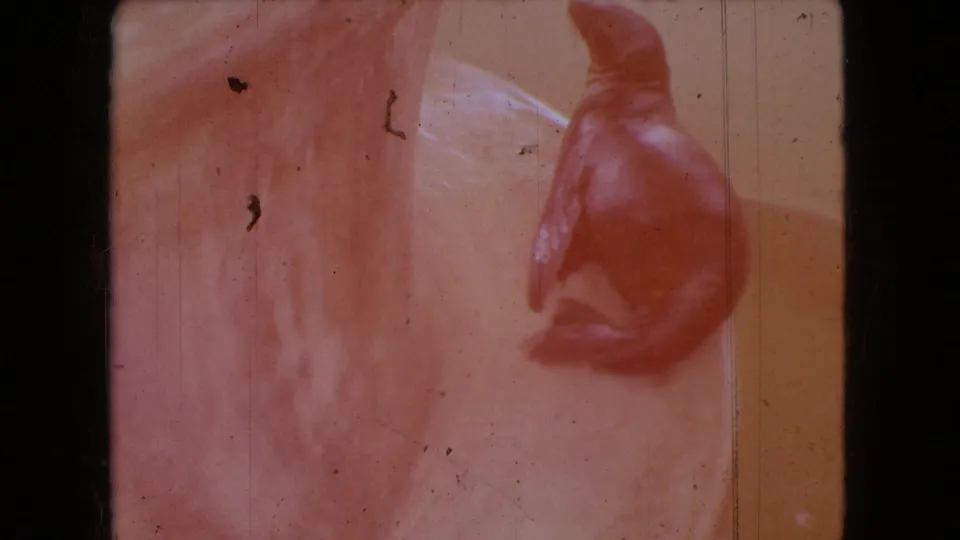 The final frame shows the seal on the pale fountain form with a strong reddish color fade and visible dust and scratches from the scanned 8mm film.