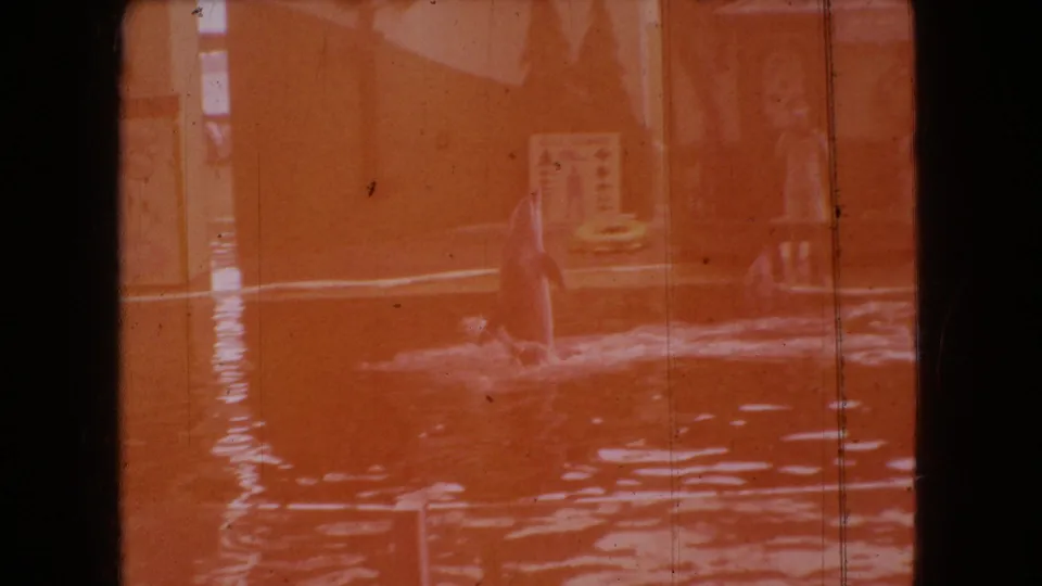 Faded 1966 Ohio 8mm frame showing a dolphin rising vertically from an indoor pool, with spectators and a decorative show sign faintly visible through orange exposure.