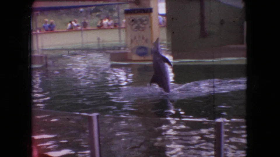 1966 Ohio home-movie frame of a dolphin gliding upright in an indoor pool while spectators watch from behind a rail near a decorative sign.